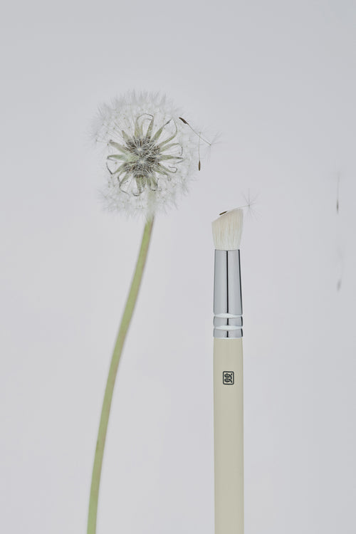Eye Shaper Brush